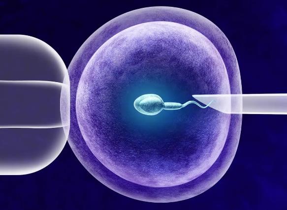 美国试管婴儿助孕三大优势揭秘，筛选胚胎性别只是其一