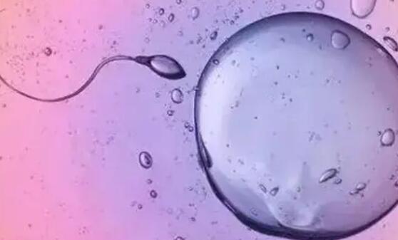 美国5个胚胎冻1年需要花多少钱