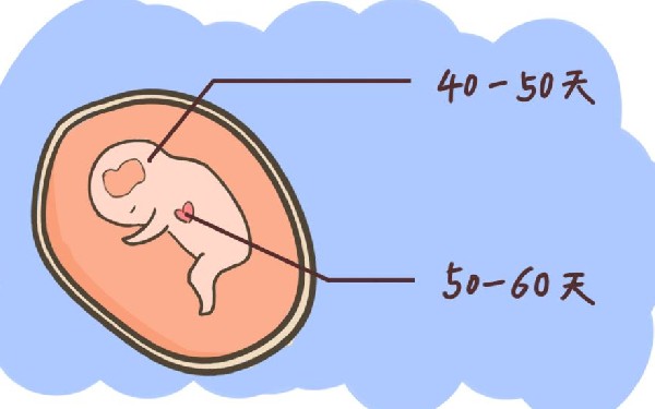 试管婴儿泰国冻卵费一年多少钱