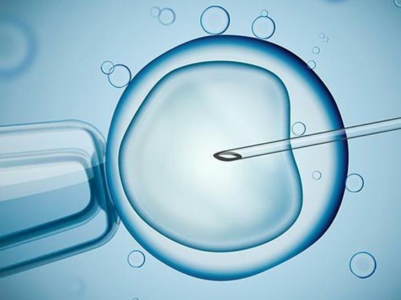 2024年hiv患者去泰国洗精做三代试管婴儿的总费用是多少